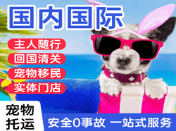 左旗巴彦浩特空运地址国际宠物托运 【国